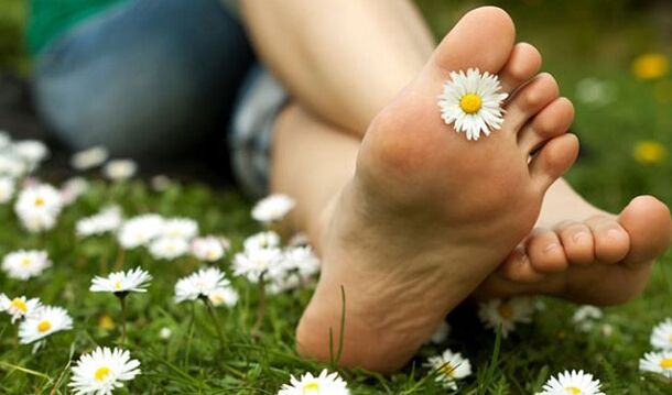 Gambe senza vene varicose dopo la prevenzione con rimedi popolari